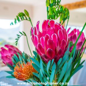 B&b photography cape town
