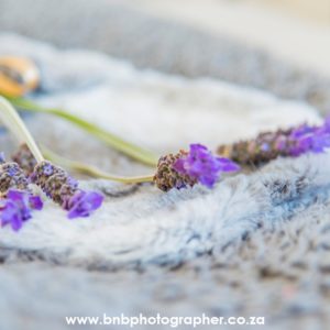 B&b photography cape town