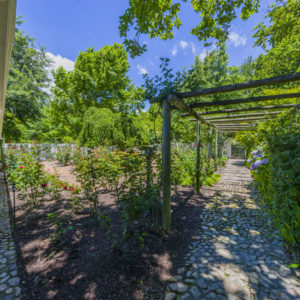 Commercial Farm Photographer_Cape Town_01