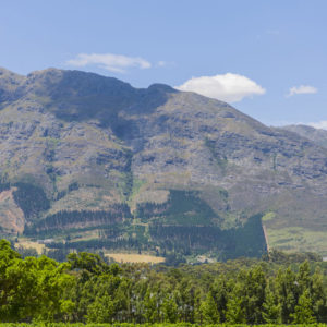 Commercial Farm Photographer_Cape Town_01
