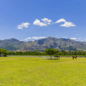 Commercial Farm Photographer_Cape Town_01