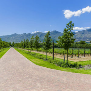 Commercial Farm Photographer_Cape Town_01