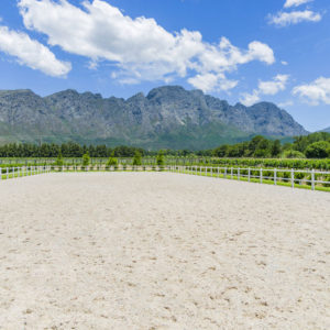 Commercial Farm Photographer_Cape Town_01