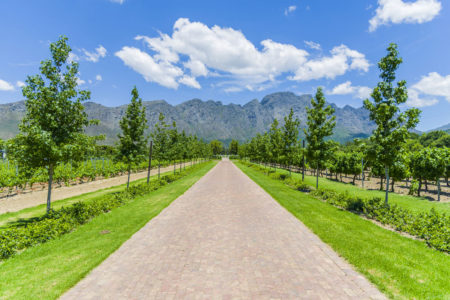 Commercial Farm Photographer_Cape Town_01