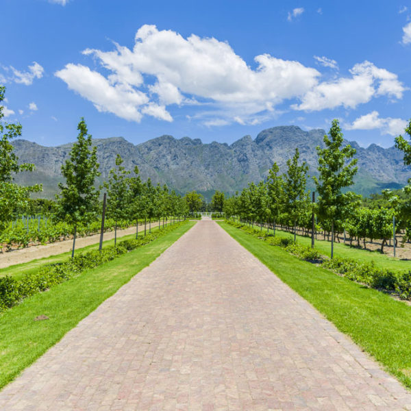Commercial Farm Photographer_Cape Town_01
