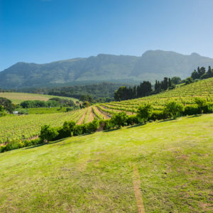 Farm & Agriculture Photographer_Cape Town_42