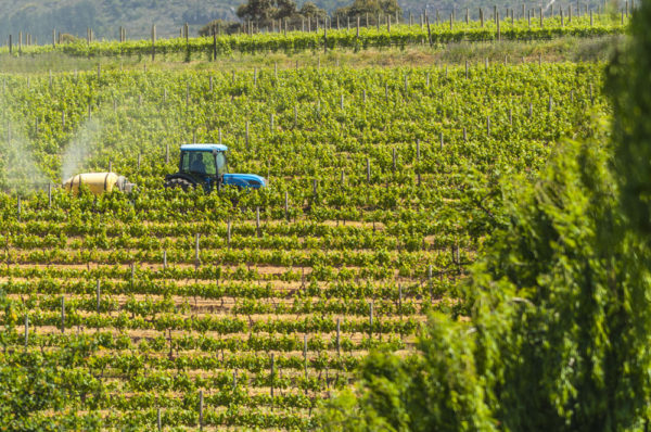 Farm & Agriculture Photographer_Cape Town_42