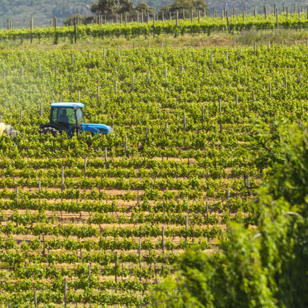 Farm & Agriculture Photographer_Cape Town_42