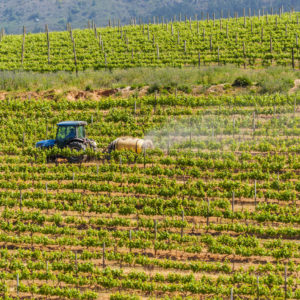 Farm & Agriculture Photographer_Cape Town_42