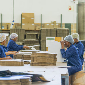 ndustrial Photographer_Factory_Cape Town